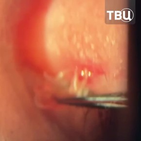 ����� ������� �� ����� ������� � ���������