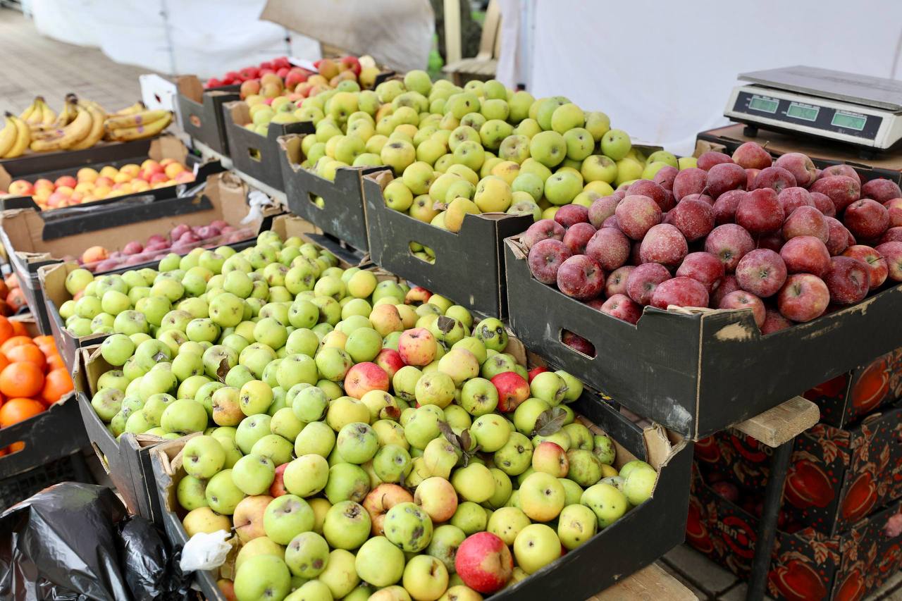 В Махачкале проходит совместная сельхозярмарка Дагестана и Беларуси В Махачкале проходит совместная сельхозярмарка Дагестана и Беларуси