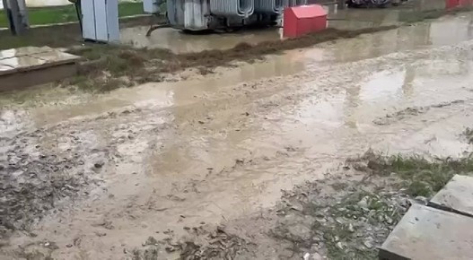 ���������� ������������: ��� ����������������� ����� ������� ���� �� �������� ����������������� ���������� 110 �� ��������, ��� ��������� ���������� � �������� ��������� ������������