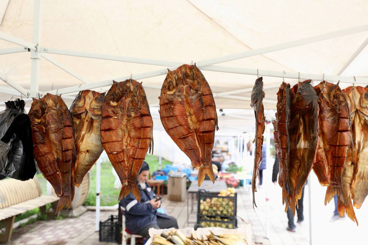 В Махачкале проходит совместная сельхозярмарка Дагестана и Беларуси В Махачкале проходит совместная сельхозярмарка Дагестана и Беларуси