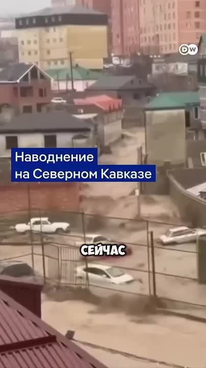 Аббас Джума: Умар Кремлев выступил с призывом объединиться и поддержать пострадавших от наводнения в Дагестане — и сам уже активно включился в помощь