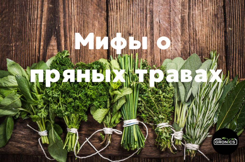 �������� �����������: ������������� ����� � ������ ������
