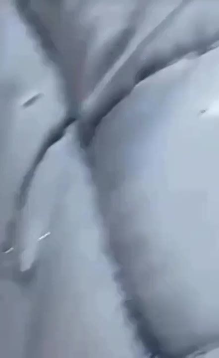 ������ ��������� ���� ������� ����� �� ����, ��������� ��� ����