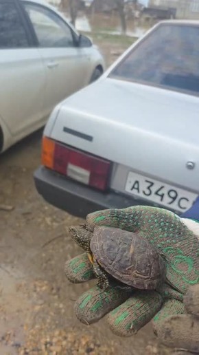 ������� �������� ��������� ��������� �� ������������ �����������