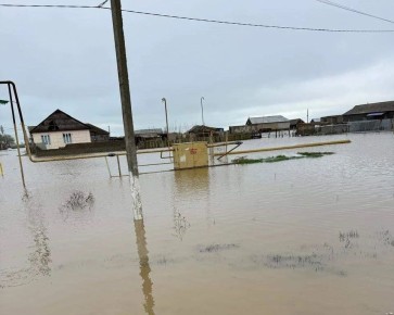 � ��������� ����� ������ �������� ������������� 822 ����� ����