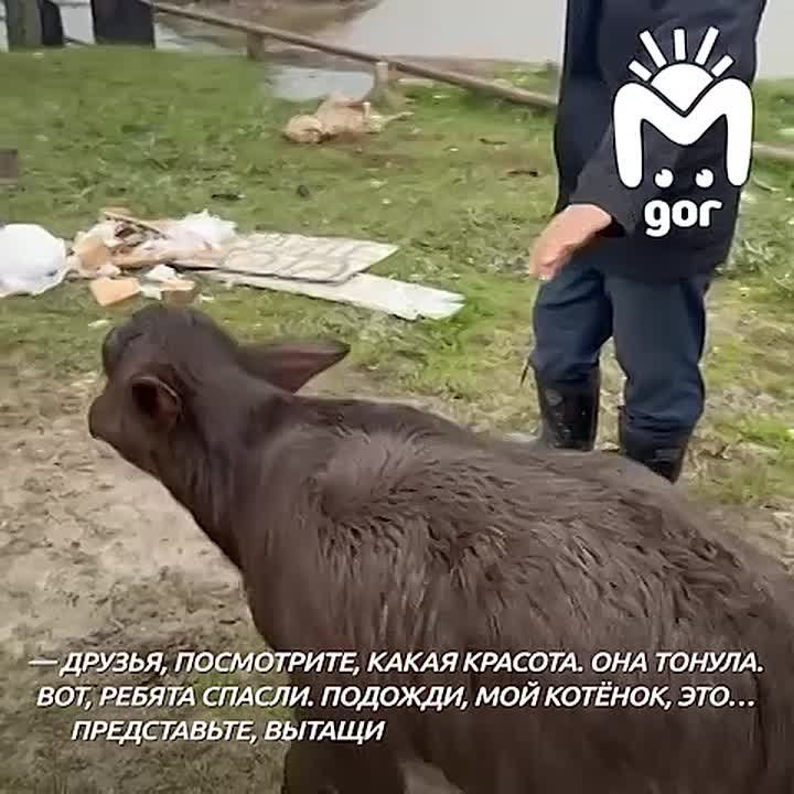 ������ ������������� ���� ���� ������� � �������� ����� ������