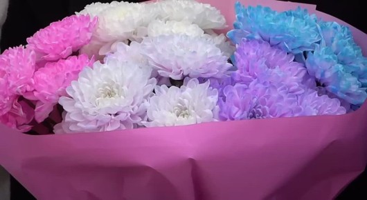 � �������� ������� �������������� ����� ������