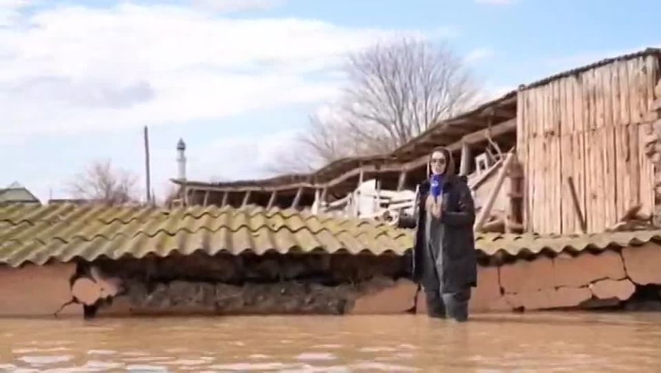 �����������: ���� ��������� ������� ��-�� ����, ��� ����� ��� �� �����, � ���������