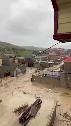 ������ ������ � ����� ���: ������ ������ ����� ������������ ����������, ���������� ��������, ������ ��� ��� �������� � ���� � ������� ������