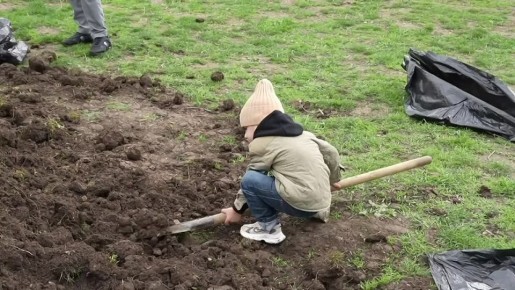 ����������� ��������� ���� ��������� �������� ����, ��� ������ � ������ ������ ���������� ���������