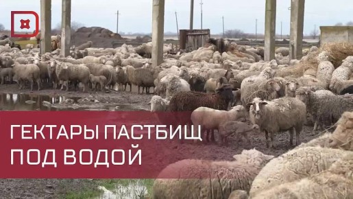 ���������� ����� � ��������� ������� ���� �� ������ ���������