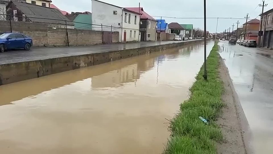 ����� ����������� ��������� ���������� �� ���� ��� �������������� �����������