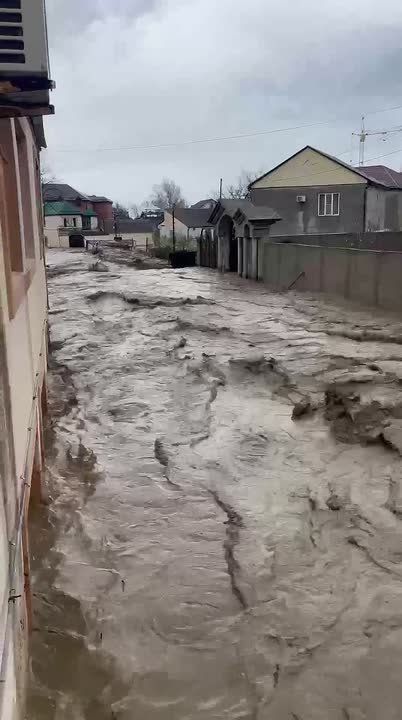 ����� �� ������������ ���������