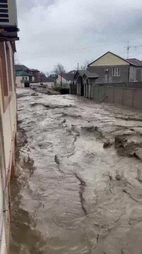 ����� �� ������������ ���������