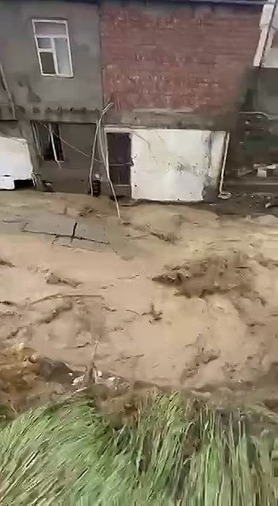 ������������ ���������� �� ��������� ����