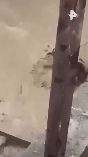 ������� ������������ ������ ��������� ������� ���������� ��-�� ����� ������ � ����������� ������� ����� 4,1 ���