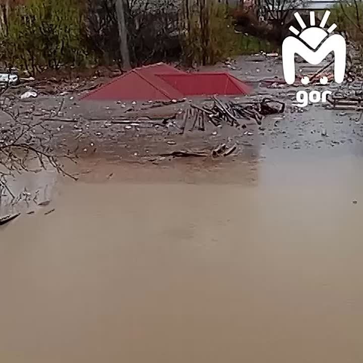 ������ ����� ����� ������ ��-��� ���� �� ������ � ���������