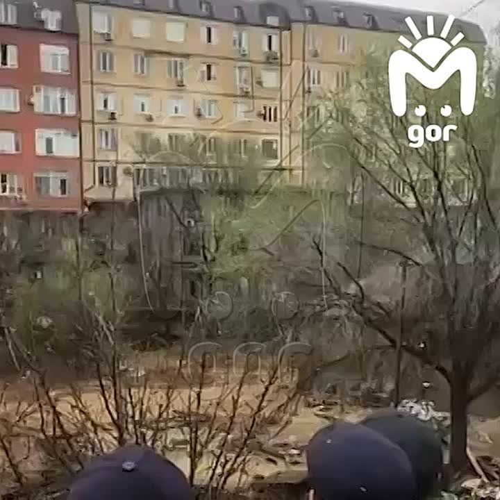 ��� � ������ ������ ����� ������ ����������� � ���������