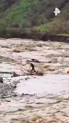 ������� ������ � ������ ���� � ������������ ���� ���� �������������� ������