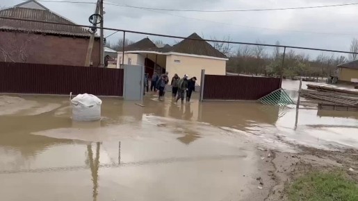 ����� ����������: ���������� ��������, �������������� �����