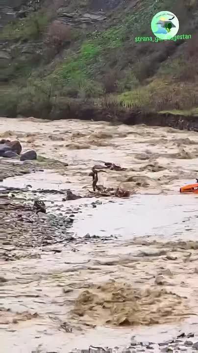 � ������������� ������ ��������� ����������, ���������� �� ��������� ����� ����� ������, ���� � ����