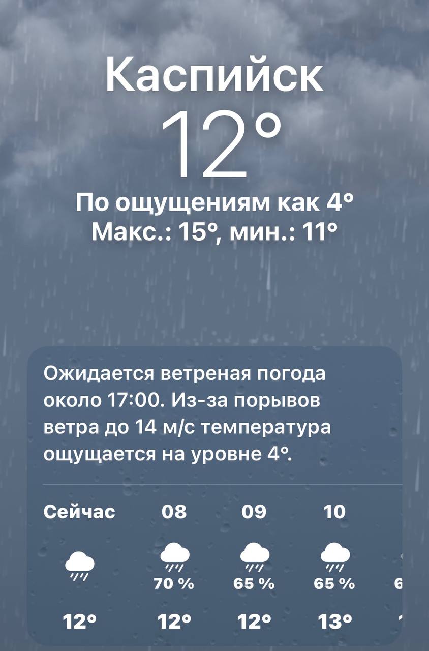 Доброе утро! За окном +12 (днем воздух прогреется до +15), по прогнозу дождь до конца дня и ожидается ветер с порывами до 14 м/с
