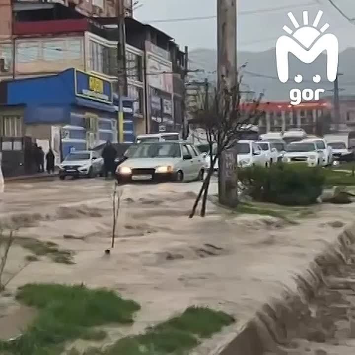 ����� �� ��-�� �������� ����� �� ��������� ����������� ���������
