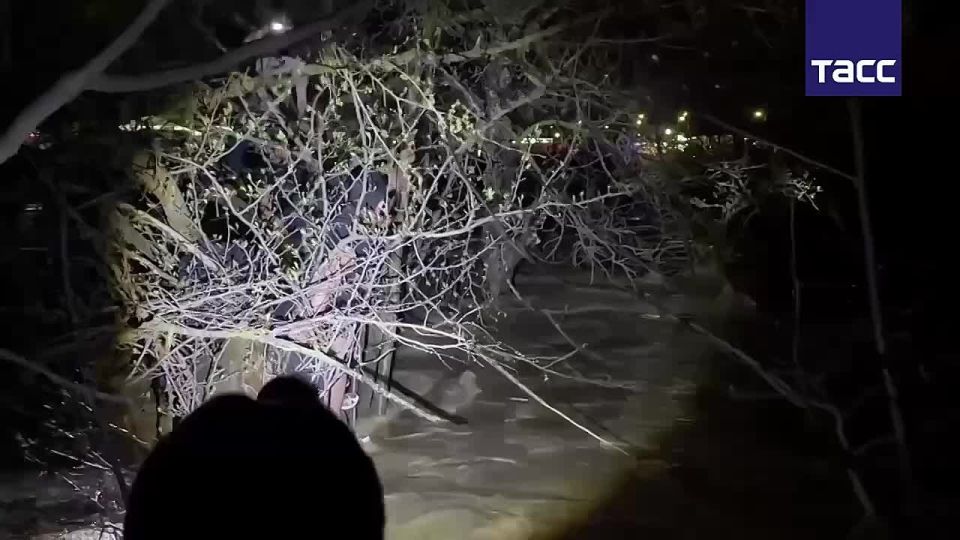 ��������� �������, ����������� �� ���������� � ���������� ������ ���� ������������ ������ ���������, ����� ����� � ����, �� �������� �������, �������� ������������� ����