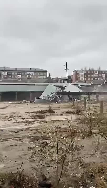 � ��������� ���� ����� �����, ������������� ��� ����� ����-��
