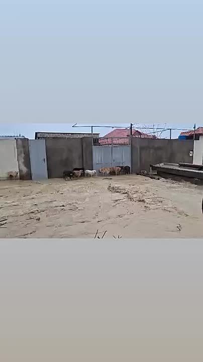 ������ ��������: �������. �������� �������� 4, ���������� �����