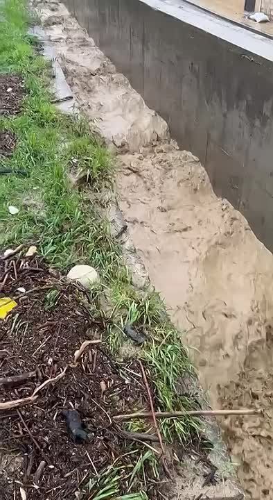 � ���� ������������ ���������� �� ����� ����������� ���������� �������� � ������� ������, ����� ���� �������� ��������