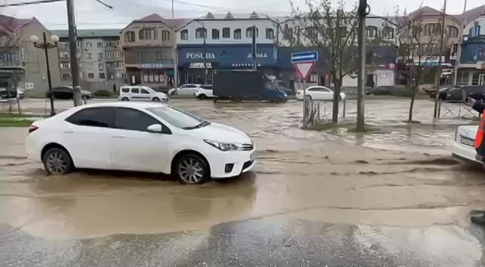�� ��. ����������� ������ ������� ����