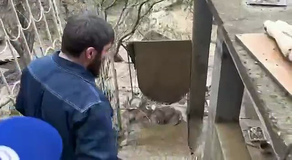������ ���� 4 �����. ���� ��� ������ ����������, ��������� � ������ �����������