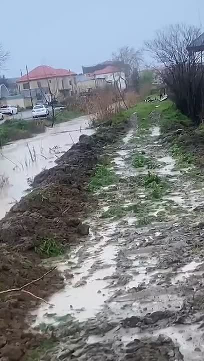 ���������� ���������� ��������� ������� ���� �� ���������� ������, ��� ��������� ���������� ���������� ����������� ����������� ����� � ����� ��������
