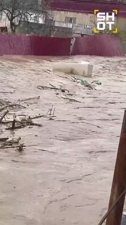 ����� ��������� ������������ � �������� ����