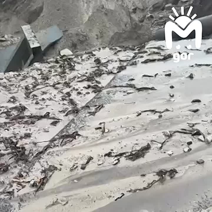 ������ ������ ����������� ���������� �������
