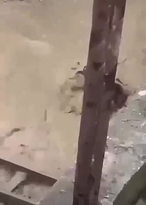 � ������������ ���� ����� � ���������� ������� ������� �������, ��� ���� ������� �������� ��������� ��� �����
