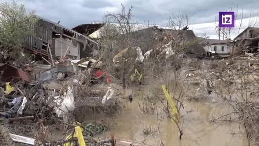 "����� �� ������ ����� ����": ������������ �� ���������� � ��������� � ��������� � ��������������� "��������" ������� ����������� ���������� � ������������ ����������