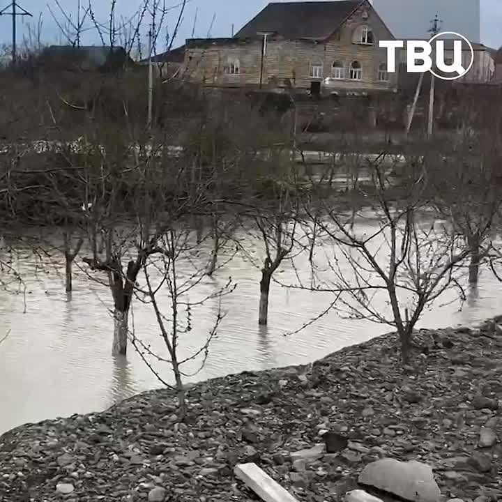 ����������� ����, ����������� ������ � �������� ������ � � ���� ��������� ����� ����������� ��������� � ���������