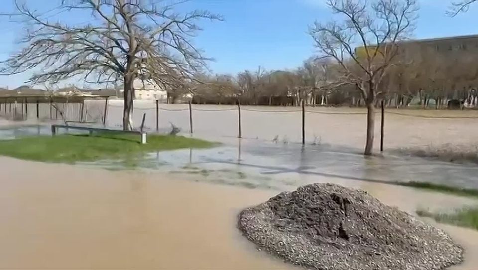 � ������������ ����� ��������� ����������� ������ ����� �������� ������