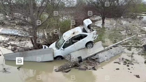 ����� ����������� ������� ����� ����������� ������������� � ��������� ������� ������������� �� "�����"