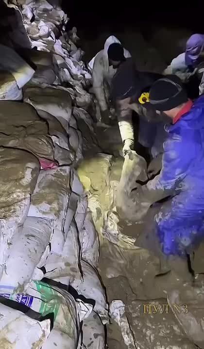 ����� ����� �� ������ � ������: