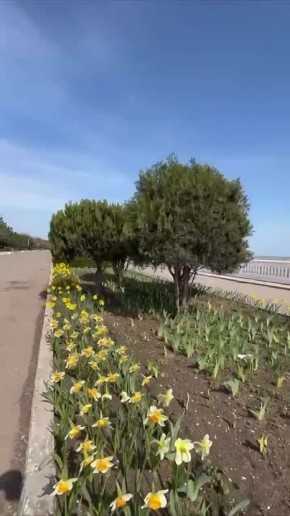 ��������� ���� ��. ��������