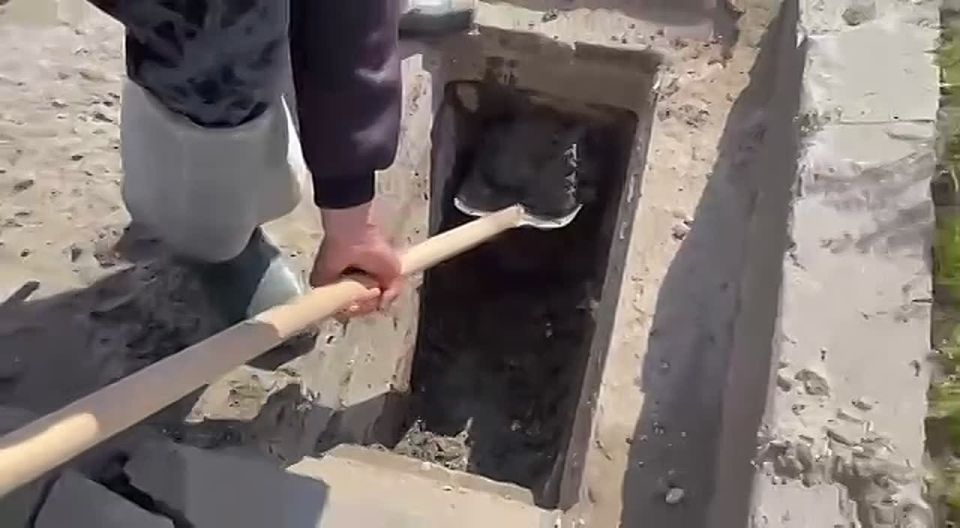 ����������� ��� ���������������� �������� ������� �������� �����