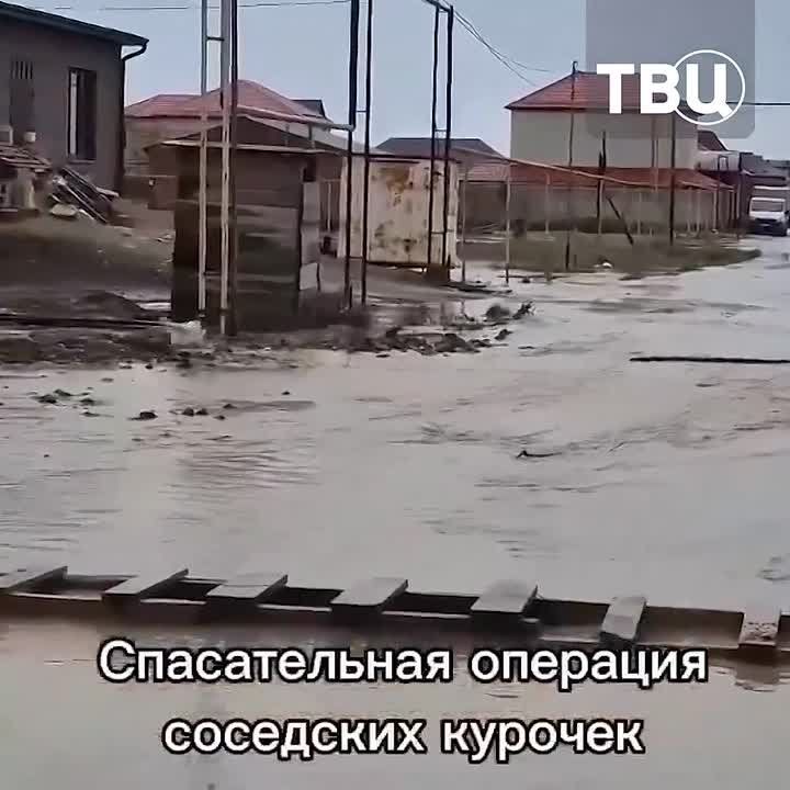 ���� �������� �� ������ �������� �� ����� ���������� � ���������