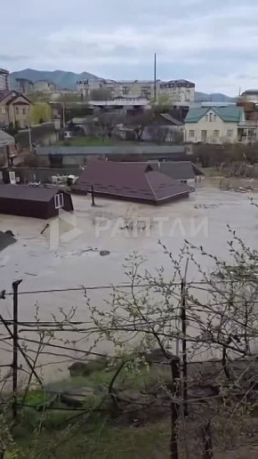 ����� �� ������ �����: ���������� � ���������, ��� ����������� ������ ���������� �� ������