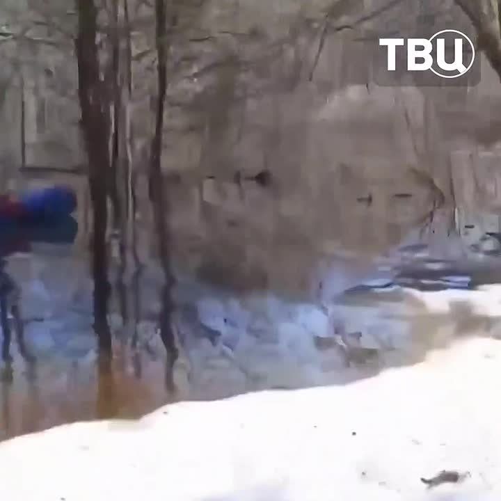 ������� ������ �� ������ � ���������: ������������� ������� ����� �� ��������� ���������
