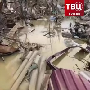 �������, ������ ��� �������������� � ���������. ��� ����� ������, ���� ��������� ����