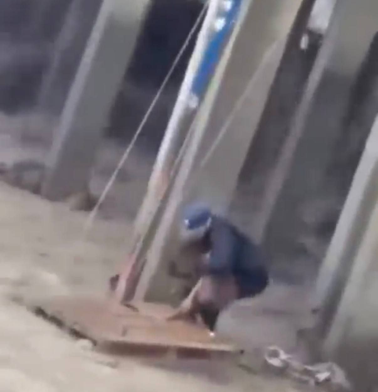 В Хасавюрте наградили местных жителей за спасение собак во время паводка