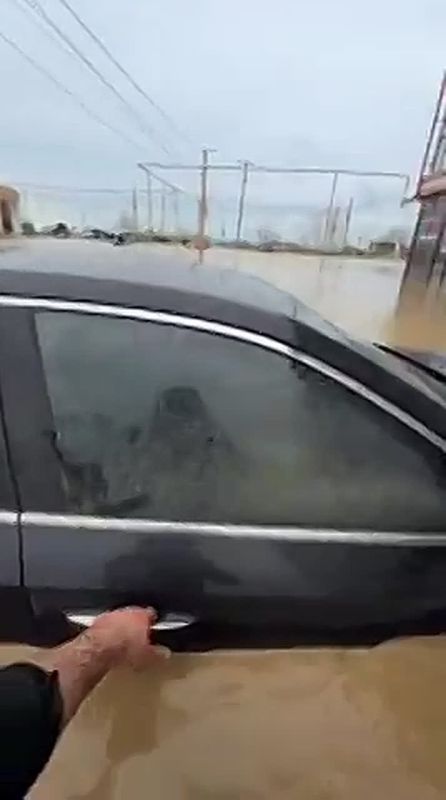 �����, ���������� �� ��������, �� ������, ������?�: ���������� �� ������ ��������